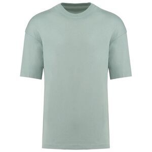 Kariban Unisex Adult Oversized T-Shirt / Sage